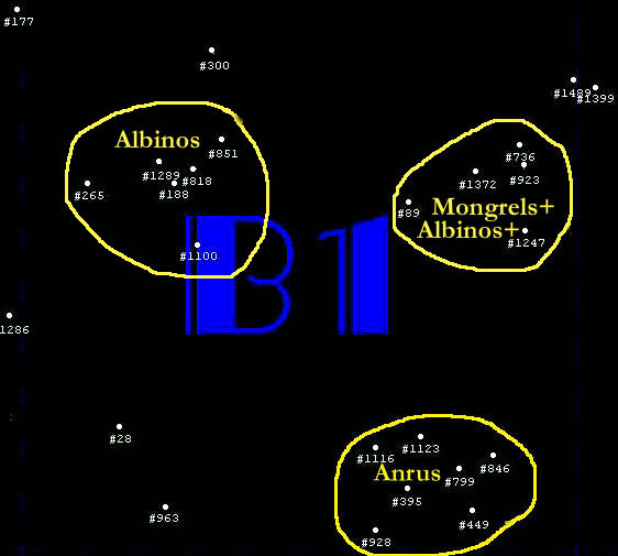 B1